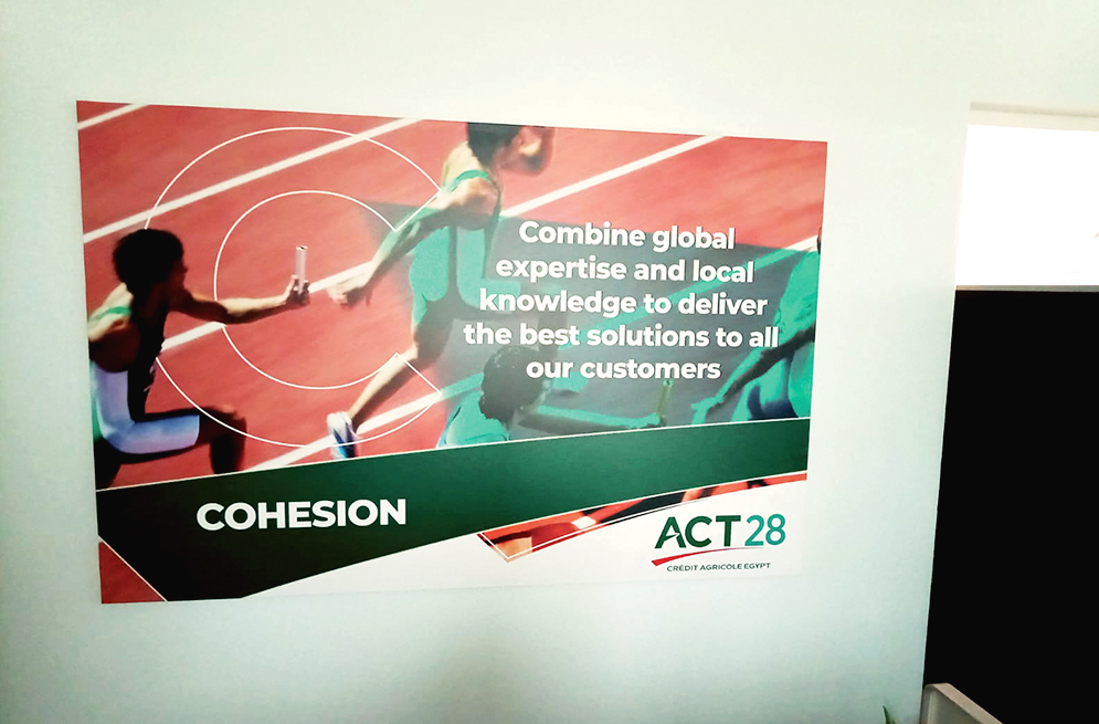 CA Website copy 7